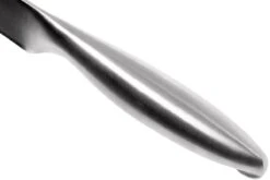 Lion Sabatier Fuso Nitro+ Cuchillo Para Trinchar 20 Cm, 747282 12 Lion Sabatier Fuso Nitro+ Cuchillo Para Trinchar 20 Cm, 747282 -Yaxell Ventas SA747282 05 lion sabatier fuso sa747282 05