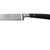 Lion Sabatier Edonist Cuchillo Puntilla 10 Cm, 806380 1 Lion Sabatier Edonist Cuchillo Puntilla 10 Cm, 806380 -Yaxell Ventas SA806380 01 lion sabatier edonist sa806380 01