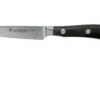 Wüsthof Ikon Cuchillo Puntilla 9 Cm, 1010530409